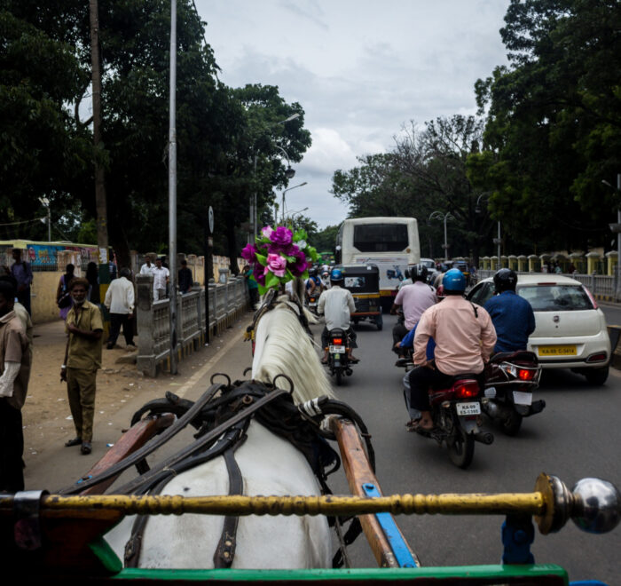How to Legally Contest a Traffic Challan in Delhi: Step-by-Step Guide -Legalcrusader